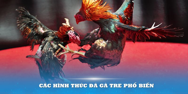 Nhà cái cung cấp những hình thức đá gà khác nhau cho người chơi lựa chọn